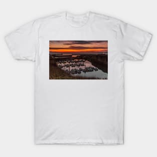 Seaham Harbour Marina T-Shirt